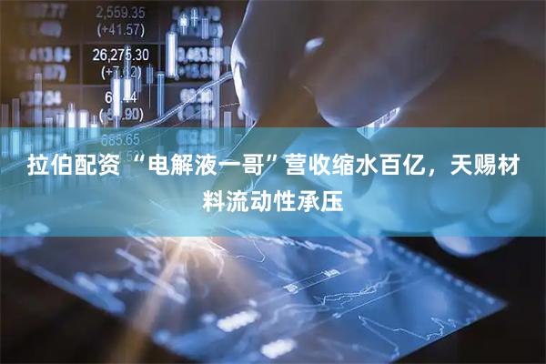 拉伯配资 “电解液一哥”营收缩水百亿，天赐材料流动性承压