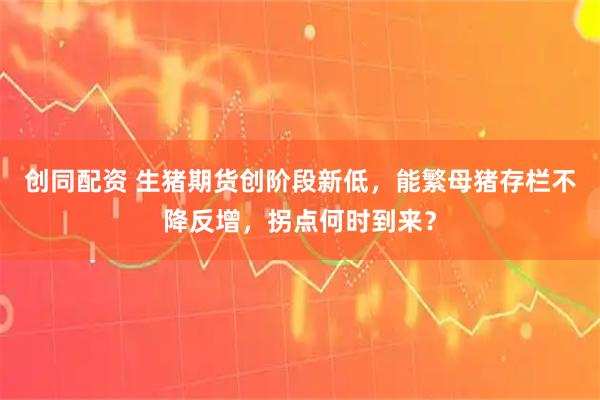 创同配资 生猪期货创阶段新低，能繁母猪存栏不降反增，拐点何时到来？
